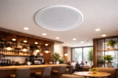 Cata CT-9139 30 Watt 16 cm Balanslı Tavan Hoparlörü