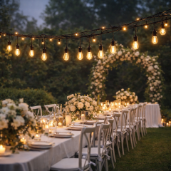 Cata CT-7071 Sarmaşık Dış Mekan Eklenebilir Seyyar Aydınlatma 5 Metre 10 Adet Ampul (Ampul Dahil)