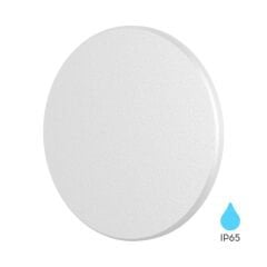 Braytron BG37-00200 Palermo 12W 3000K Yuvarlak Beyaz LED Duvar Armatürü