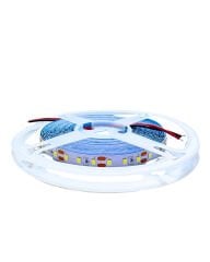 Helios HS-3253 12V 2835 120 LED 5 Metre Beyaz Şerit LED