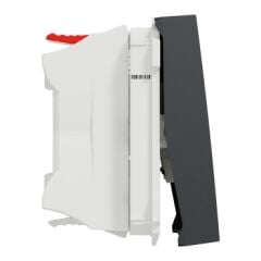 Schneider New Unica NU320354 2 Modül 10AX Mat Antrasit Vidasız Terminalli Elektromekanik Vavien Anahtar
