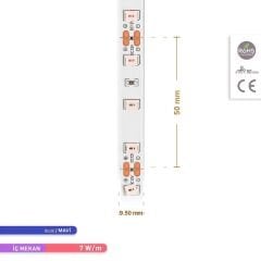 ACK AS01-00806 12V 7W/m 4040 Mavi Şerit LED