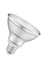 FSL 11W Günışığı Par30 Led Ampul