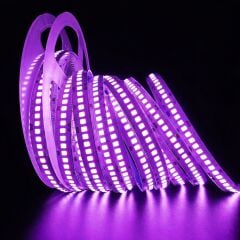 Helios HS-3257 Mor 12V DC Metrede 240 LED Yüksek Yoğunluklu İç Mekan Şerit LED 5 Metre