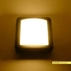 ACK AH07-05001 4W 3000K Günışığı Siyah Kasa LED Duvar Apliği