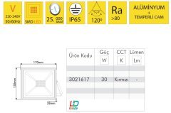Vito Raina 30W Led Projektör Kırmızı-3021617