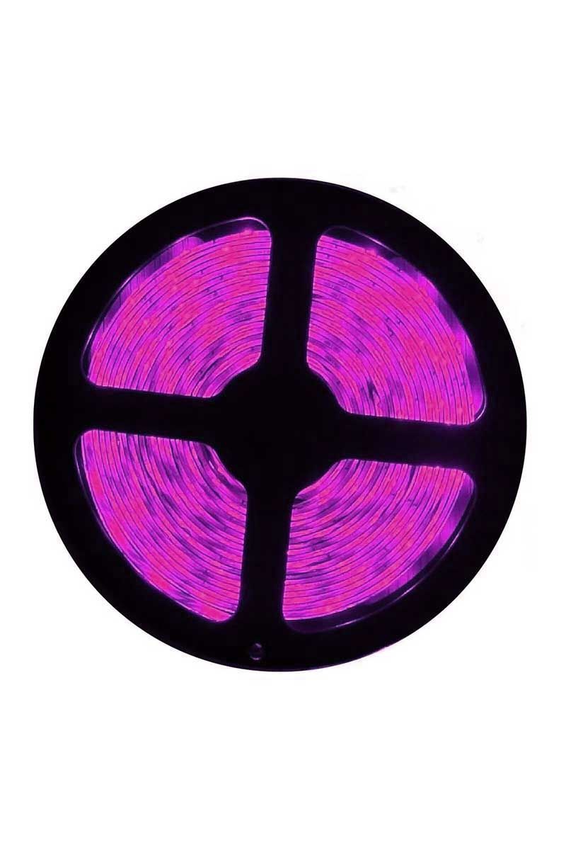 Helios HS 3252 12V 4040 İç Mekan Şerit LED Pembe Işık