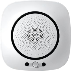 Fonri WIFI-818 Kablosuz Akıllı Gaz Dedektörü