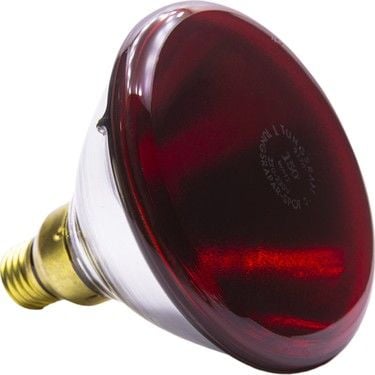 Şavk 175W Isı Ampulü PAR38 230V