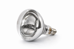 Lığtex 250W İnfrared Isıtıcı Ampul E27 220V Şeffaf Cam