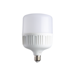 Noas 40Watt 3200K LED Torch Ampul