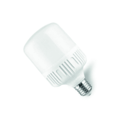 Noas 40Watt 3200K LED Torch Ampul
