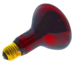 Şavk 100W Isı Ampulü R95 220V Kırmızı Cam