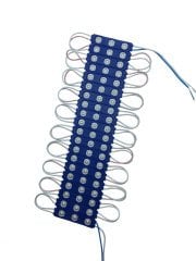 ERKLED 12VDC 1.5W LED Modül Mavi-200'Lü